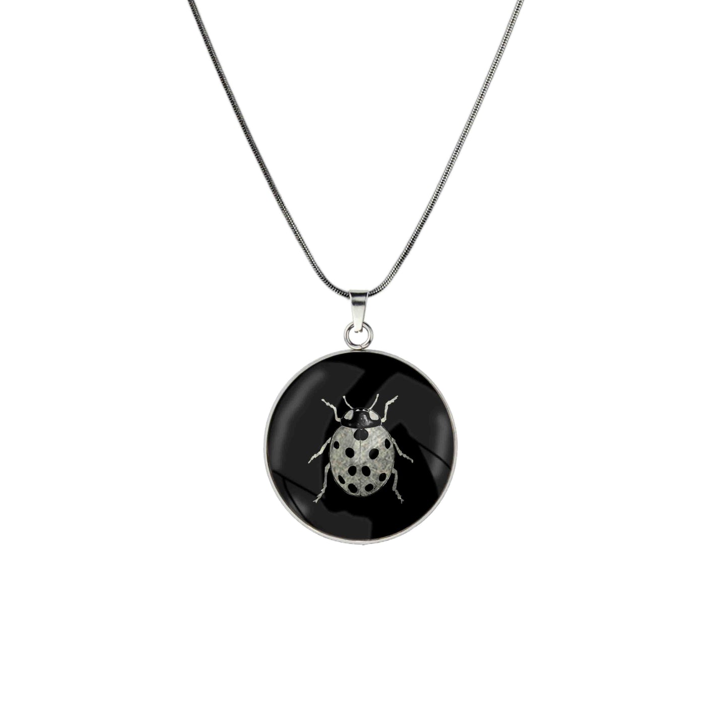 LADYBIRD CIRCLE PENDANT ON A CHAIN NECKLACE - MFY265 - in Circle Box