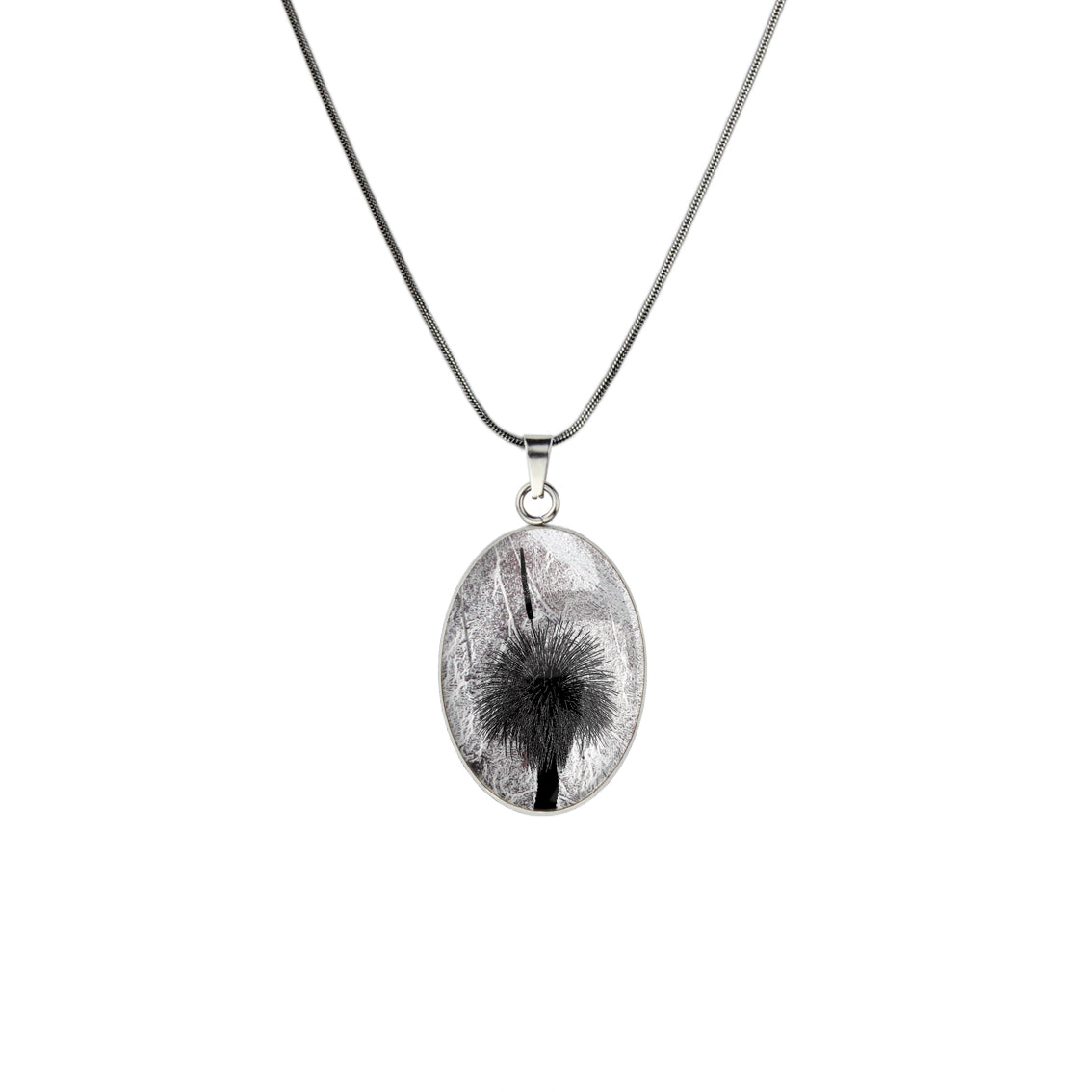 AUSTRALIAN NATIVE FLORA - GRASS TREE OVAL CIRCLE PENDANT ON A CHAIN NECKLACE - D854 - in Circle Box