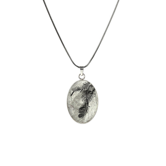 AUSTRALIAN NATIVE FLORA - WOLLEMI PINE OVAL CIRCLE PENDANT ON A CHAIN NECKLACE - D938 - in Circle Box