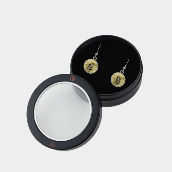 AUSTRALIAN NATIVE FLORA - ACACIA WATTLE CIRCLE EARRINGS - D941 - in Circle Box