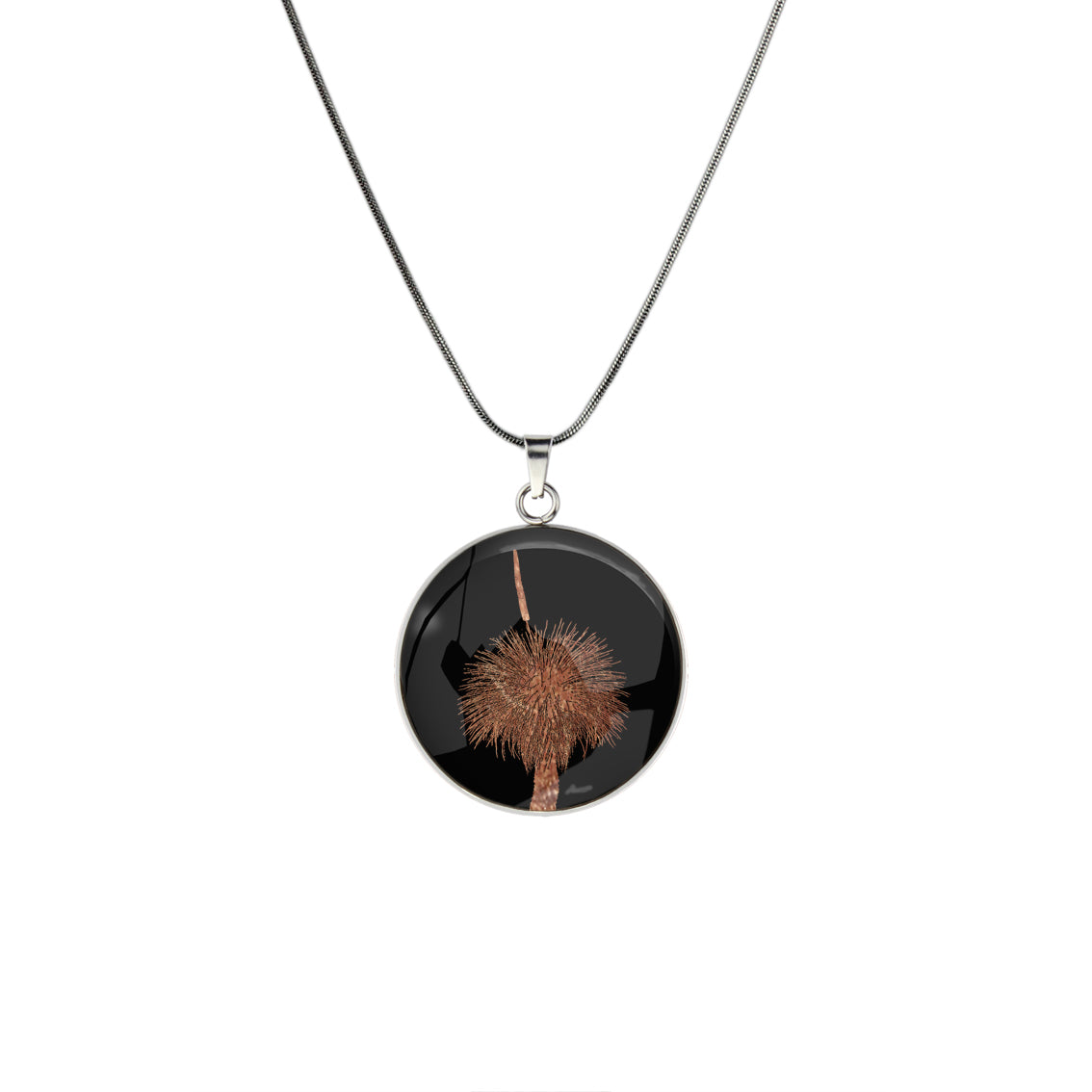 AUSTRALIAN NATIVE FLORA - GRASS TREE CIRCLE PENDANT ON A CHAIN NECKLACE - D855 - in Circle Box