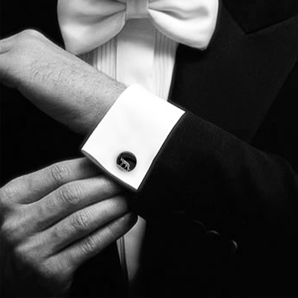 DINGO CIRCLE ELEGANT CUFFLINKS - MFY206