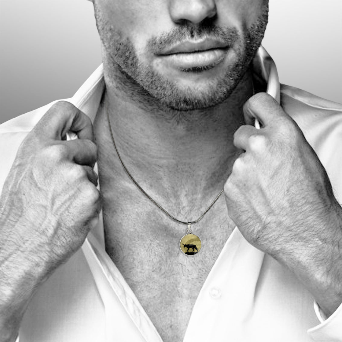 DINGO XS CIRCLE PENDANT ON A CHAIN NECKLACE - MFY209S - on Satchel