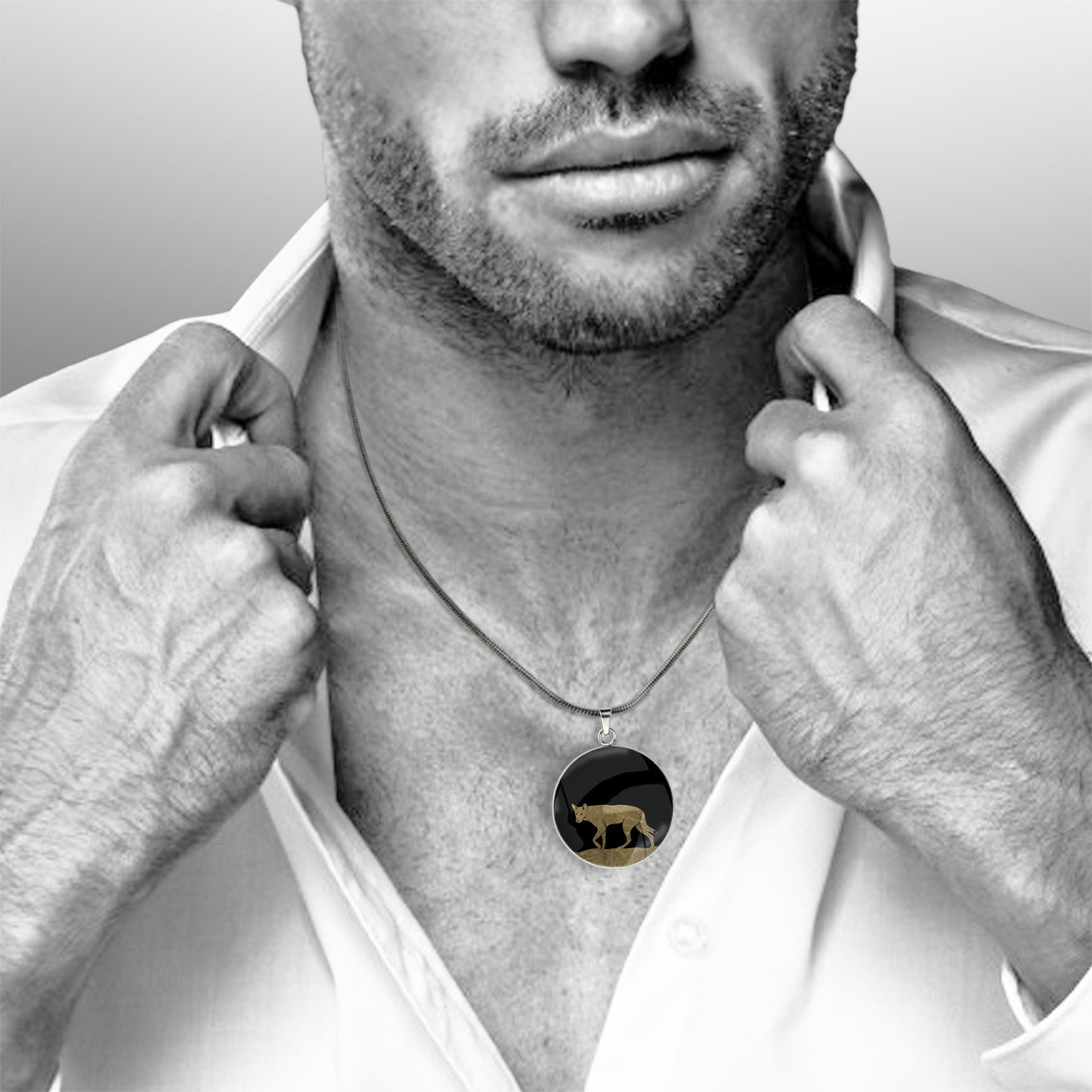 DINGO CIRCLE PENDANT ON A CHAIN NECKLACE - MFY210S - on Satchel