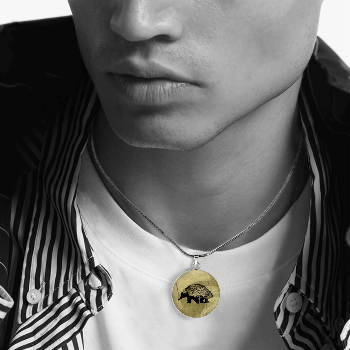 ECHIDNA CIRCLE PENDANT ON A CHAIN NECKLACE - MFY175S - on Satchel